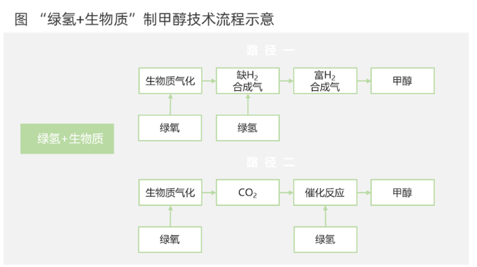 shengwuzhizhibeijiachun (2).png